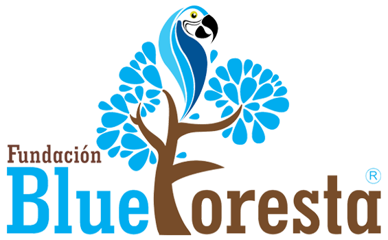 logo blueforesta
