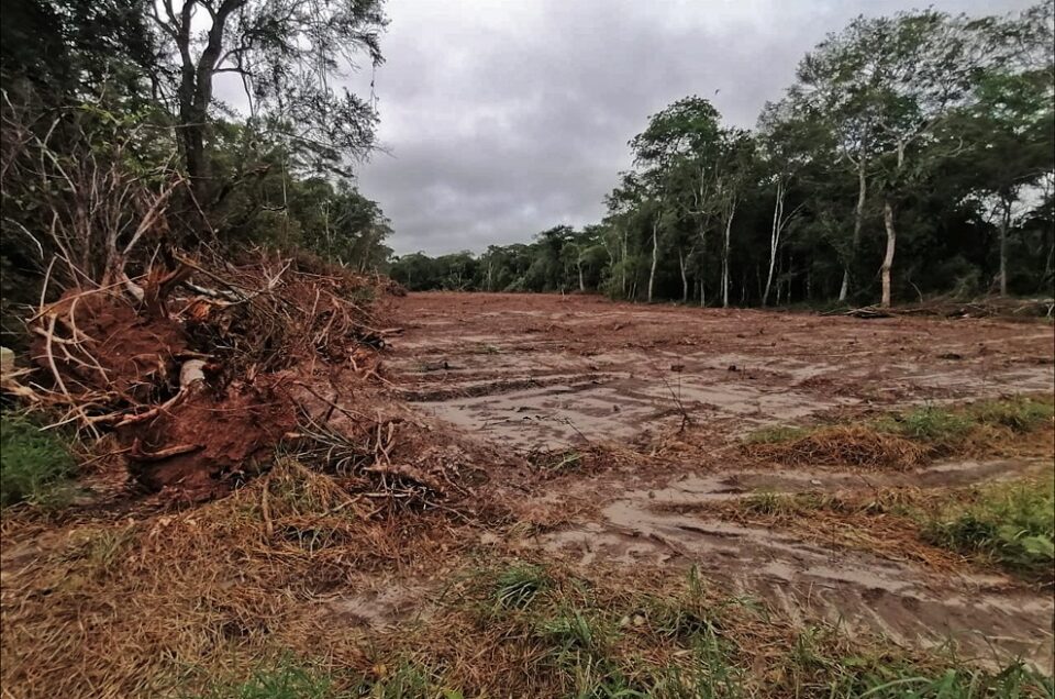 REPORTAJE | La Nación Guaraní en alerta por nuevos asentamientos en Ñembi Guasu